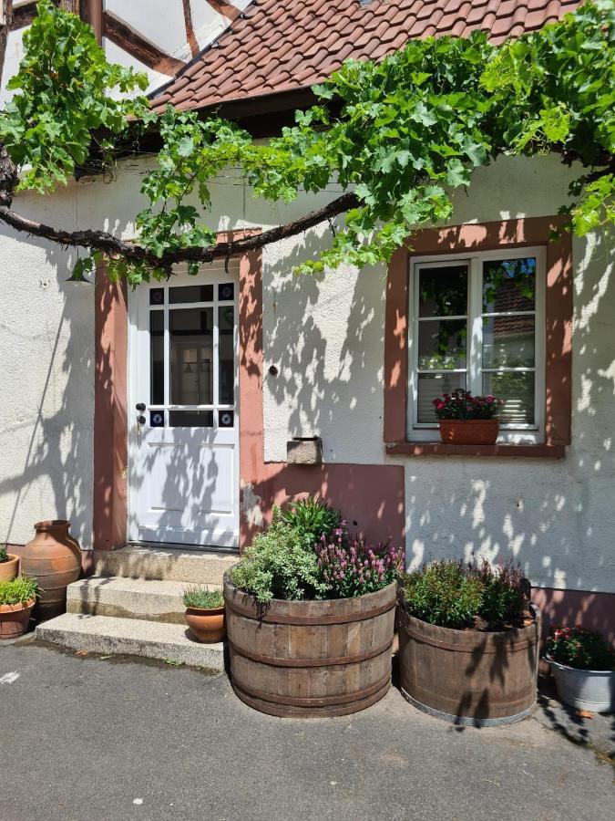 Schoene Ferienwohnung Mit Kamin Neustadt an der Weinstraße 외부 사진